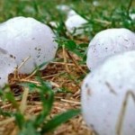 grad-poljoprivreda-steta-1343650282-191833