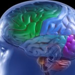 DARPA-manipulacija-mozga-1